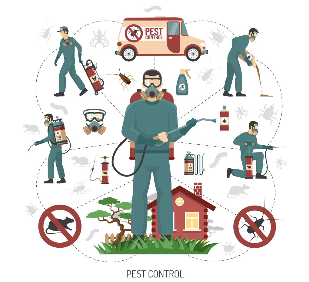 Professional Pest Control Technician at Work